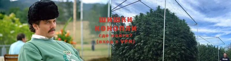 Шишки марихуана SATIVA & INDICA  Лебедянь 